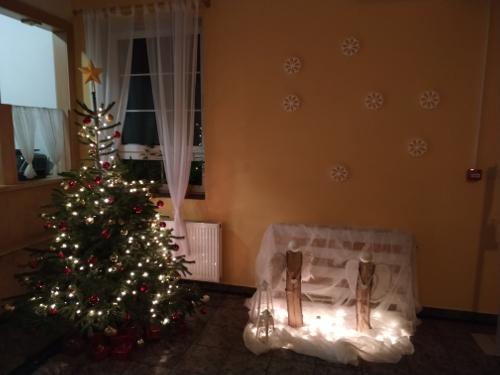 Příprava vánoční dekorace - IMG_20201230_175359