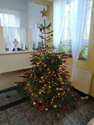 Příprava vánoční dekorace - IMG_20201231_144104