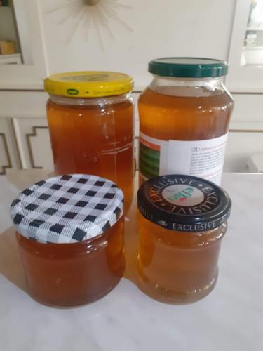 Výroba pampeliškového medu - JMG-20230502-WA0002